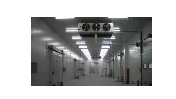 ʳƷ�����(k��)�О�ʲô��(hu��)���F(xi��n)�a(ch��n)������F(xi��n)����