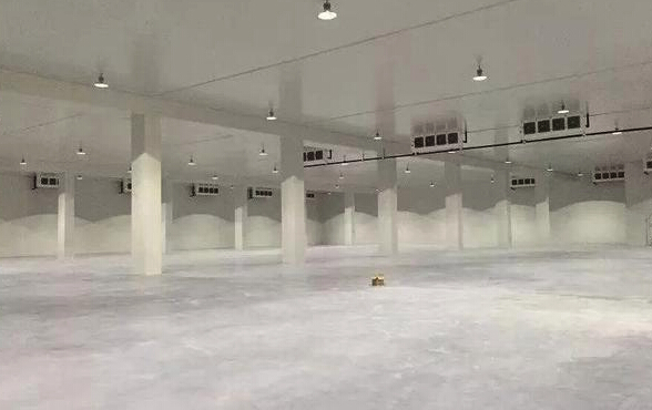 �}����������������