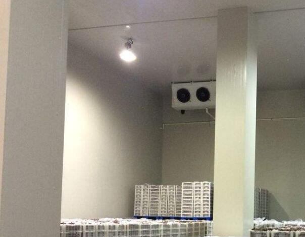 �������{��(ji��)�������Oʩ